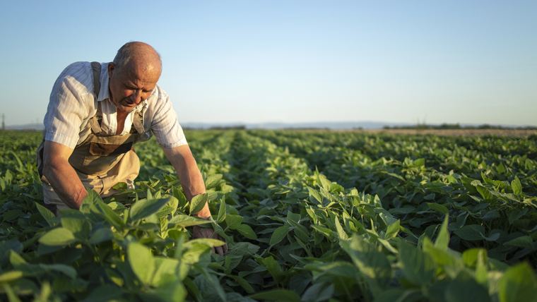 Agricultura