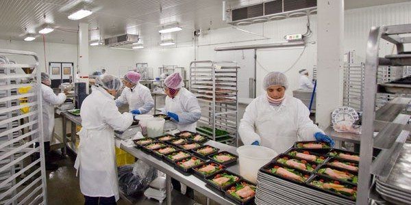 Alimentación